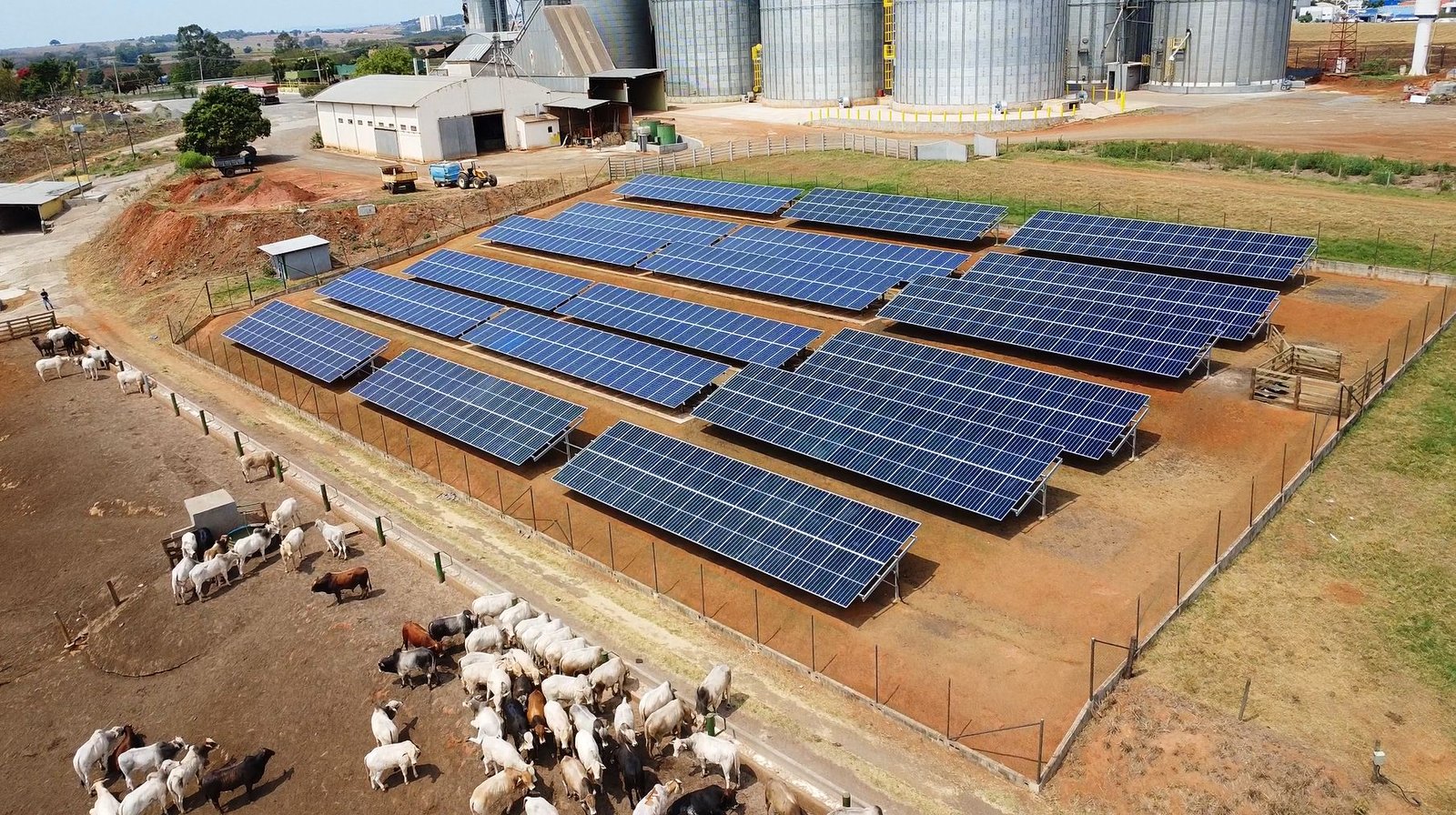 Usina solar em solo instalada pelo Grupo Ampexx em propriedade rural